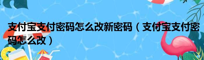 支付宝支付密码怎么改新密码（支付宝支付密码怎么改）