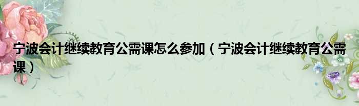 宁波会计继续教育公需课怎么参加（宁波会计继续教育公需课）