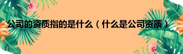 公司的资质指的是什么（什么是公司资质）