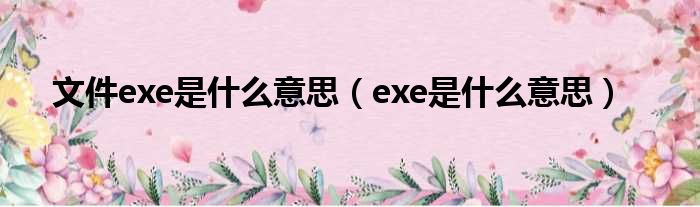 文件exe是什么意思（exe是什么意思）