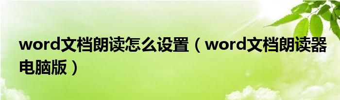 word文档朗读怎么设置（word文档朗读器电脑版）