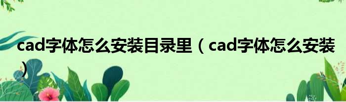 cad字体怎么安装目录里（cad字体怎么安装）