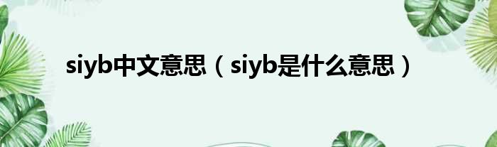 siyb中文意思（siyb是什么意思）
