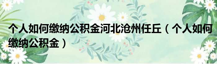 个人如何缴纳公积金河北沧州任丘（个人如何缴纳公积金）