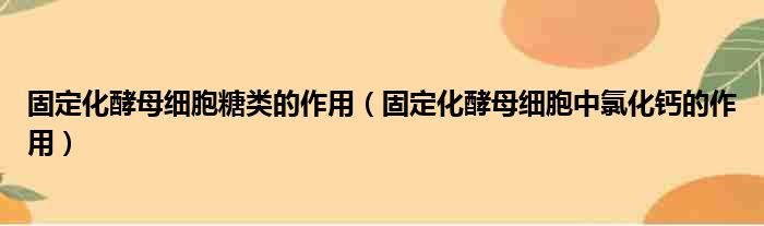 固定化酵母细胞糖类的作用（固定化酵母细胞中氯化钙的作用）