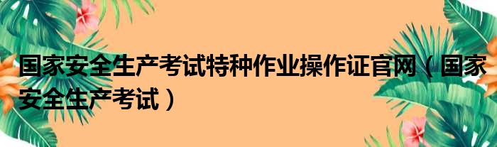 国家安全生产考试特种作业操作证官网（国家安全生产考试）