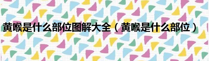 黄喉是什么部位图解大全（黄喉是什么部位）