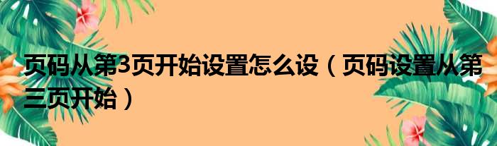 页码从第3页开始设置怎么设（页码设置从第三页开始）