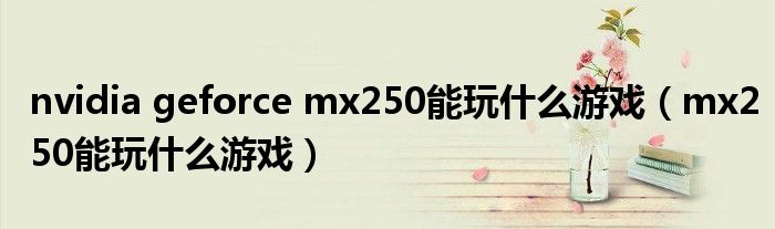 nvidia geforce mx250能玩什么游戏（mx250能玩什么游戏）