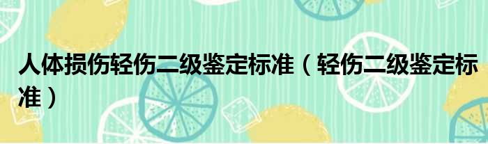 人体损伤轻伤二级鉴定标准（轻伤二级鉴定标准）