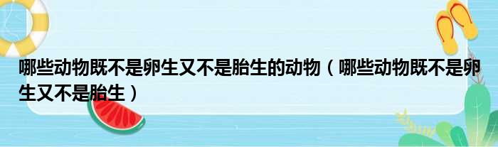 哪些动物既不是卵生又不是胎生的动物（哪些动物既不是卵生又不是胎生）