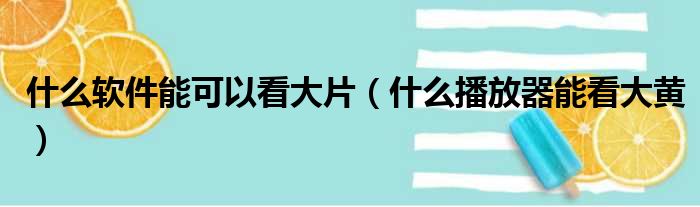 什么软件能可以看大片（什么播放器能看大黄）