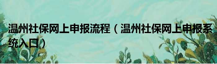 温州社保网上申报流程（温州社保网上申报系统入口）