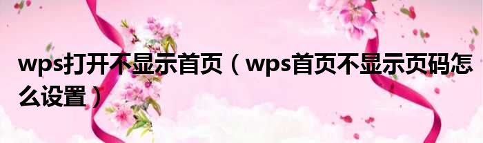 wps打开不显示首页（wps首页不显示页码怎么设置）