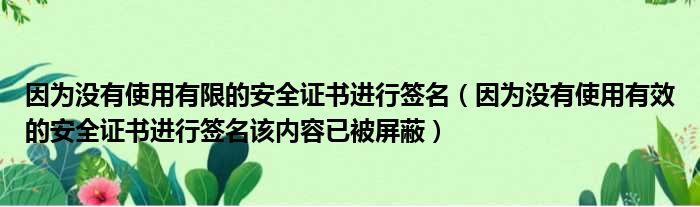 因为没有使用有限的安全证书进行签名（因为没有使用有效的安全证书进行签名该内容已被屏蔽）