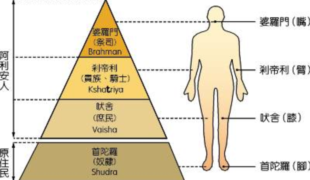 世界上体型最大的鸡品种（世界上最大的鸡是什么品种）(图3)