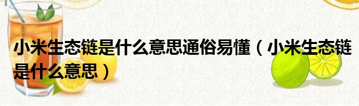 小米生态链是什么意思通俗易懂（小米生态链是什么意思）