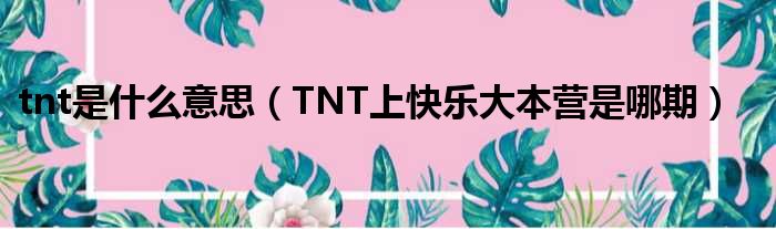 tnt是什么意思（TNT上快乐大本营是哪期）