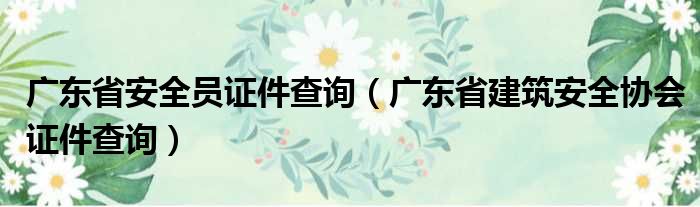 广东省安全员证件查询（广东省建筑安全协会证件查询）