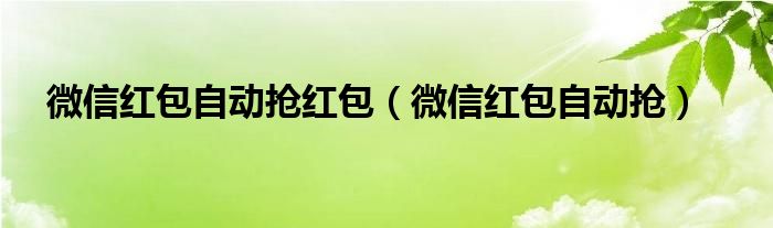 微信红包自动抢红包（微信红包自动抢）