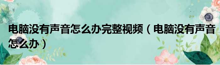 电脑没有声音怎么办完整视频（电脑没有声音怎么办）