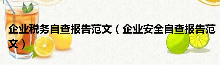 企业税务自查报告范文（企业安全自查报告范文）