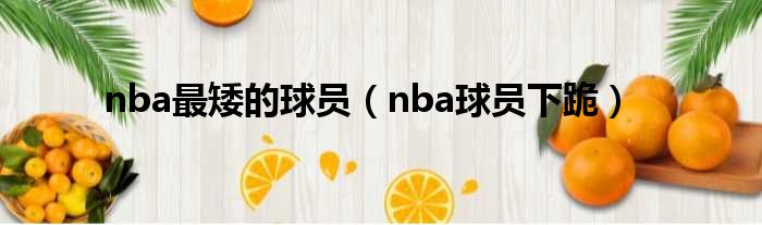 nba最矮的球员（nba球员下跪）