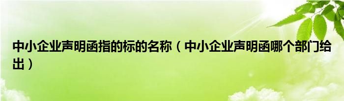 中小企业声明函指的标的名称（中小企业声明函哪个部门给出）