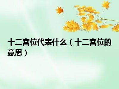 十二宫位代表什么（十二宫位的意思）