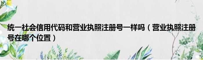 统一社会信用代码和营业执照注册号一样吗（营业执照注册号在哪个位置）