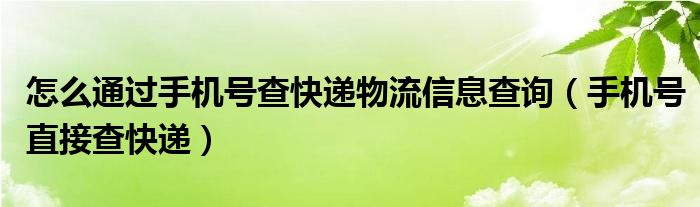 怎么通过手机号查快递物流信息查询（手机号直接查快递）