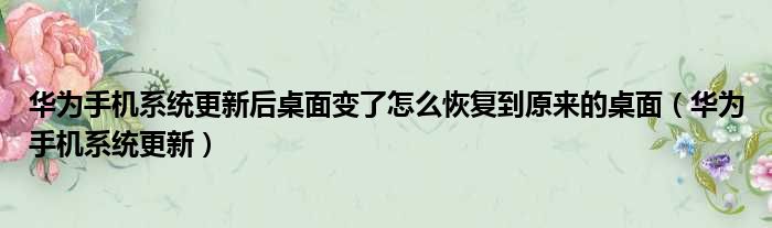 华为手机系统更新后桌面变了怎么恢复到原来的桌面（华为手机系统更新）