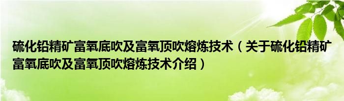  硫化铅精矿富氧底吹及富氧顶吹熔炼技术（关于硫化铅精矿富氧底吹及富氧顶吹熔炼技术介绍）