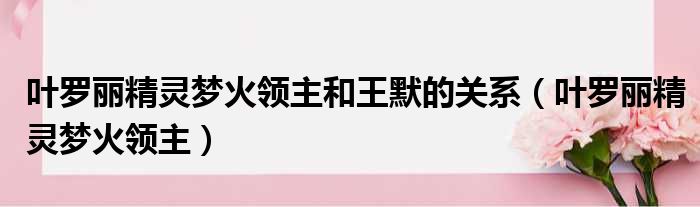 叶罗丽精灵梦火领主和王默的关系（叶罗丽精灵梦火领主）