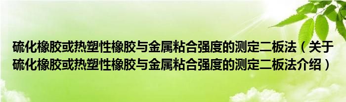  硫化橡胶或热塑性橡胶与金属粘合强度的测定二板法（关于硫化橡胶或热塑性橡胶与金属粘合强度的测定二板法介绍）