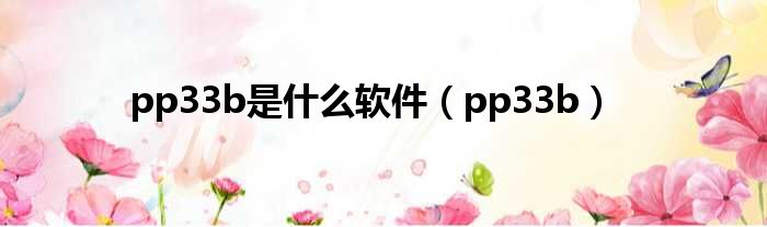 pp33b是什么软件（pp33b）