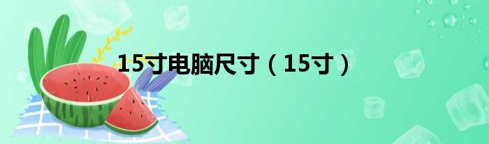 15寸电脑尺寸（15寸）