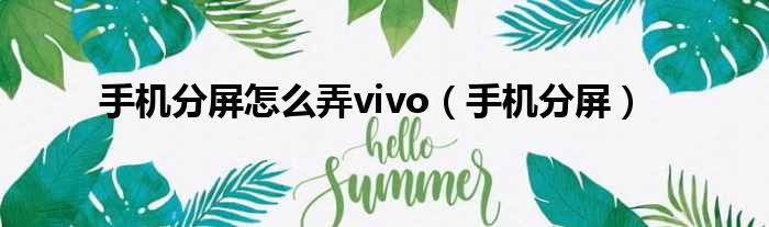 手机分屏怎么弄vivo（手机分屏）