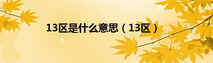 13区是什么意思（13区）