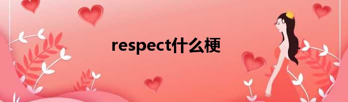 respect什么梗