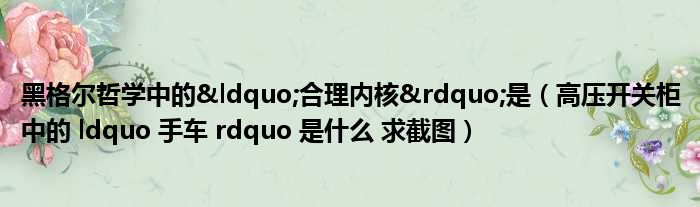 黑格尔哲学中的&ldquo;合理内核&rdquo;是（高压开关柜中的 ldquo 手车 rdquo 是什么 求截图）