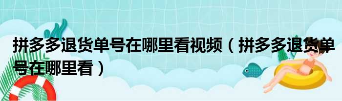 拼多多退货单号在哪里看视频（拼多多退货单号在哪里看）