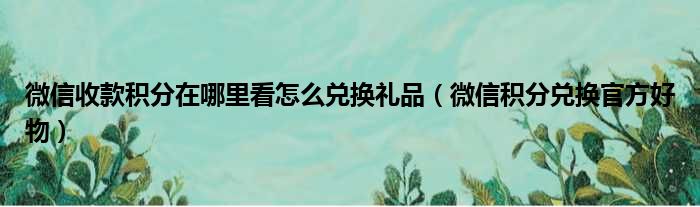 微信收款积分在哪里看怎么兑换礼品（微信积分兑换官方好物）