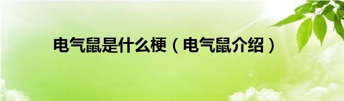 电气鼠是什么梗（电气鼠介绍）