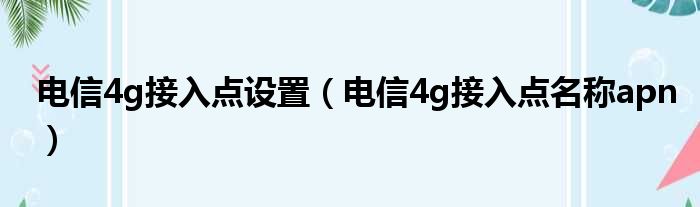 电信4g接入点设置（电信4g接入点名称apn）