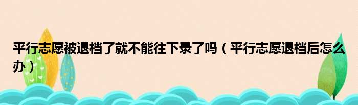 平行志愿被退档了就不能往下录了吗（平行志愿退档后怎么办）