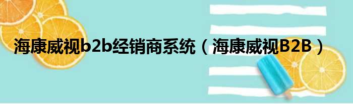 海康威视b2b经销商系统（海康威视B2B）