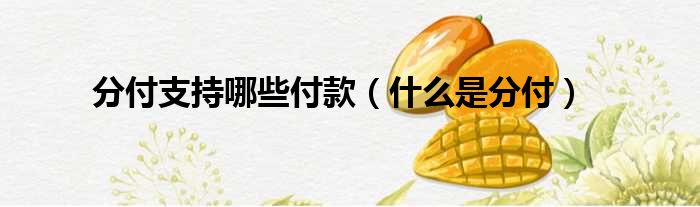 分付支持哪些付款（什么是分付）