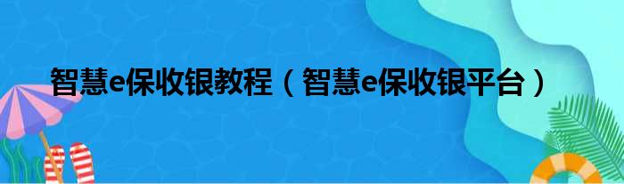 智慧e保收银教程（智慧e保收银平台）