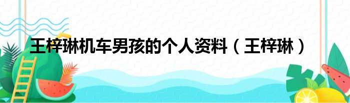 王梓琳机车男孩的个人资料（王梓琳）